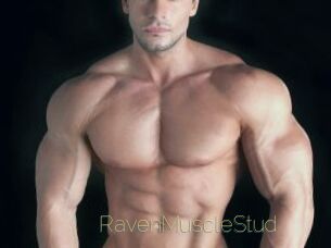 RavenMuscleStud