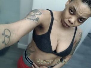 Raven_Stud