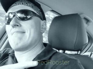 RedRooster
