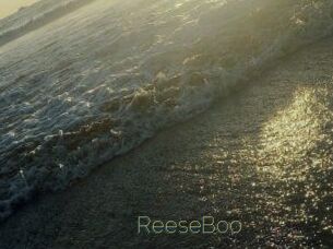 ReeseBoo