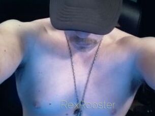 RexRooster Visio Tchats
