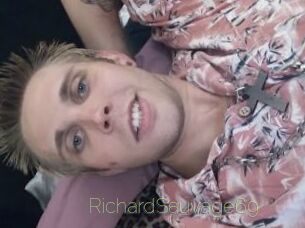 RichardSauvage69 Visio Tchats