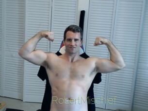 RobertMischief