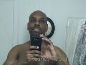Rodney_Rabbit