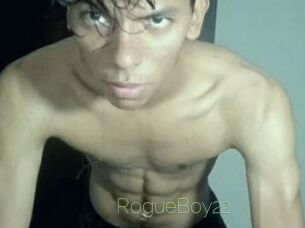 RogueBoy22