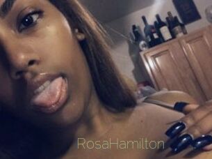 RosaHamilton Visio Tchats