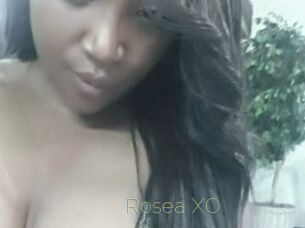 Rosea_XO Visio Tchats