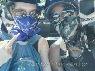 RussianfoxnBlackstallion