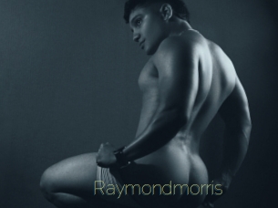 raymondmorris Visio Tchats