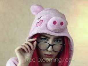 red_blooming_rose Visio Tchats