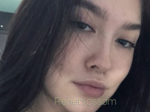 reneblossom Visio Tchats
