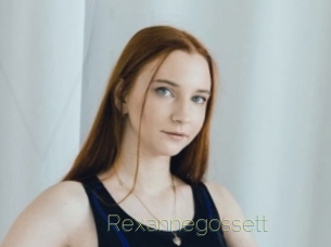 rexannegossett Visio Tchats