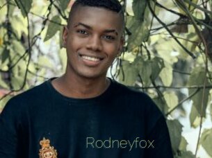 rodneyfox Visio Tchats