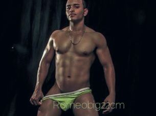 Romeobig22cm