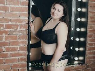 Rosaliebigboobs