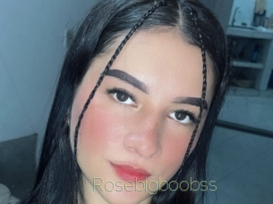 Rosebigboobss