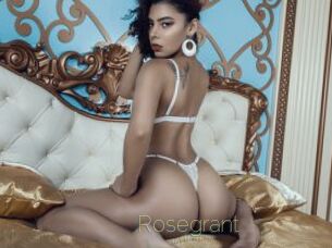 rosegrant Visio Tchats