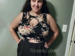 roseiscute Visio Tchats