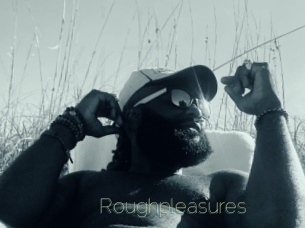Roughpleasures