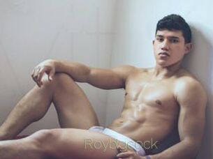 Roybigcock