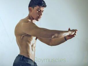 roymuscles Visio Tchats