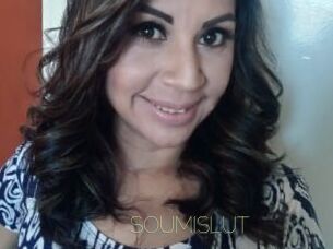 SOUMISLUT