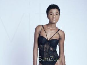 SamZulu Visio Tchats