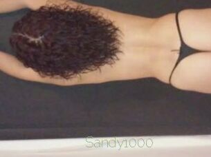 Sandy1000