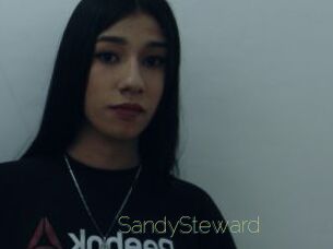 SandySteward