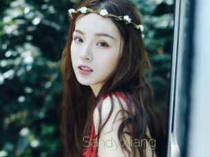 SandyXiang
