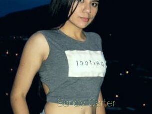 Sandy_Carter