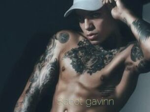 Sccot_gavinn