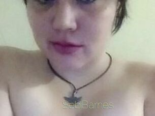 Sebi_Barnes