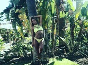 SelenaDice