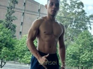 Sensei_hot