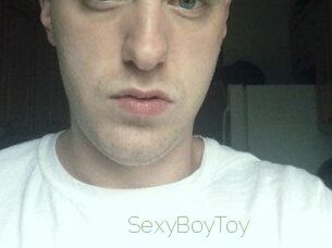 SexyBoyToy