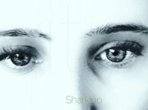 Sharkino