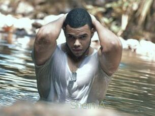 Shein_A