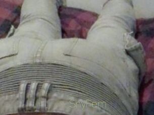 ShyFem