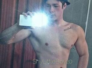 ShyLittleBoy20