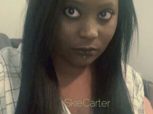 SkieCarter Visio Tchats