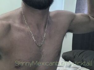 SkinnyMexicanbutmydicktall