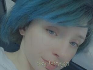 SkyBaby991