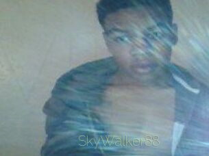 SkyWalker88