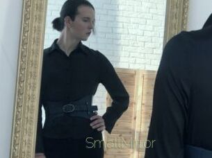 SmallMirror