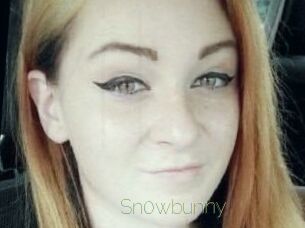 Sn0wbunny