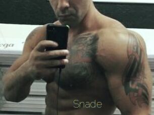 Snade
