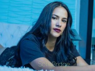 SofiaBridge