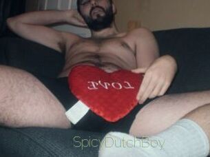 SpicyDutchBoy