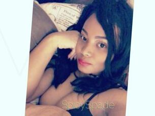 SpicySpade